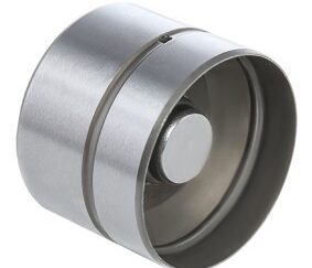 1.9 TDI INA Hydraulic Lifters (Set of 8)