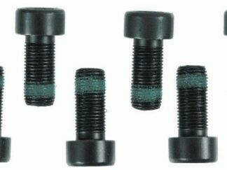 Sachs M10x1x22 Flywheel Bolts (Pack of 6)