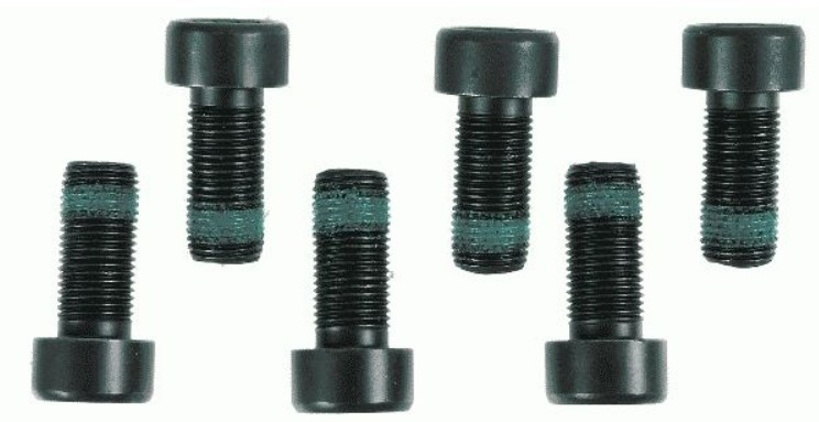 Sachs M10x1x22 Flywheel Bolts (Pack of 6)