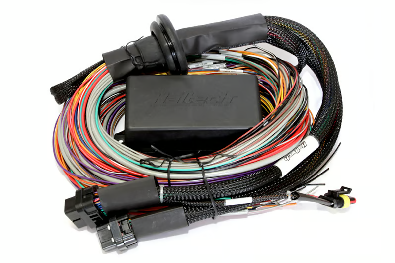 Haltech Elite 2500 + Premium Universal Wire-in Harness Kit Length: 2.5m (8') - Image 5