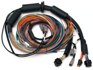 Haltech Nexus R3 Universal Wire-in Harness - 2.5m (8')
