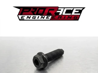 Genuine TFSI Oil Pickup Pipe Securing bolt (Sold individually)